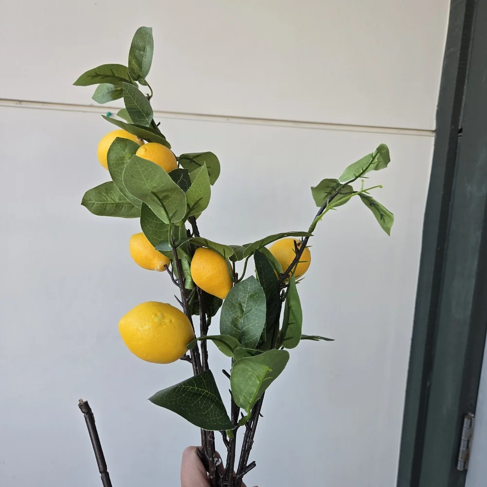 Lemon Decor